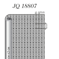 JQ 18807 раппорт